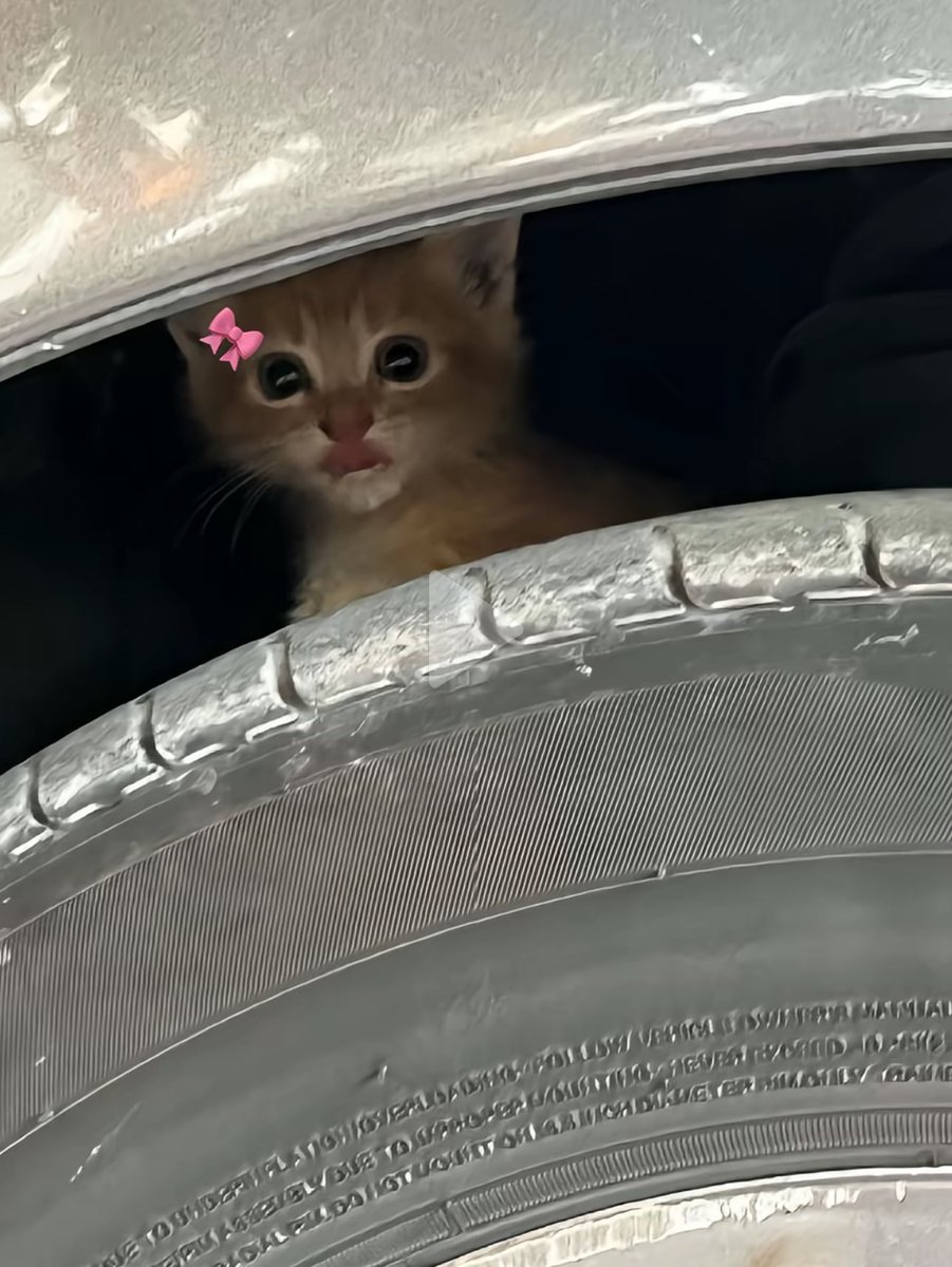 1leio's tweet image. 