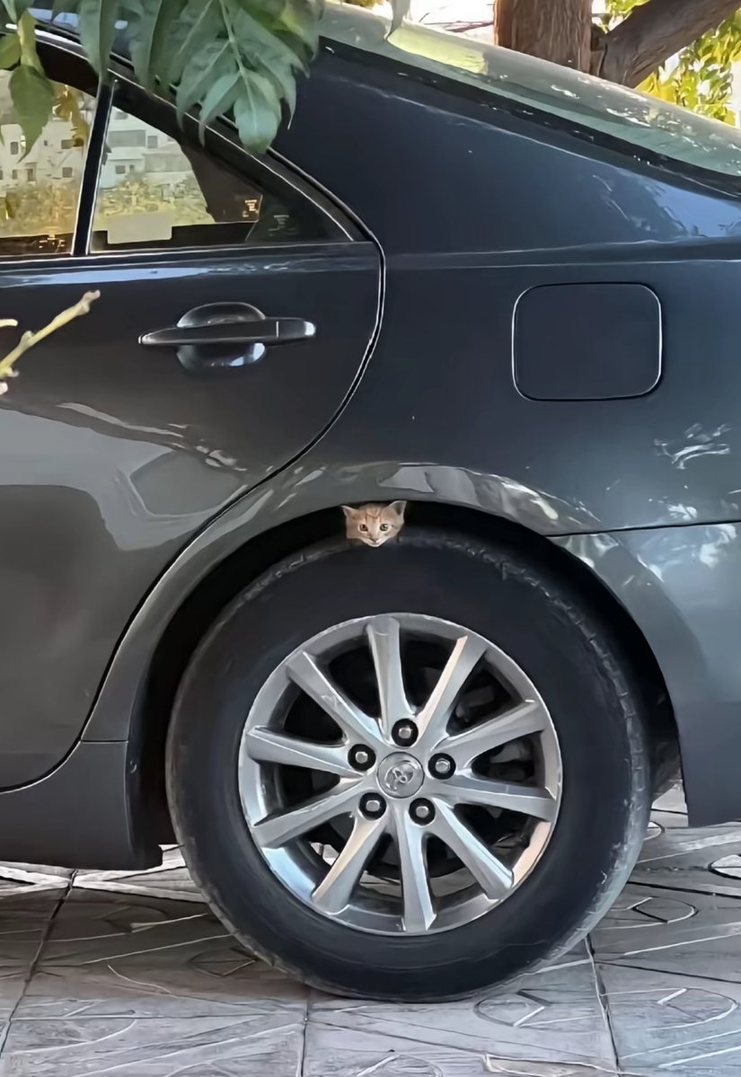 1leio's tweet image. 