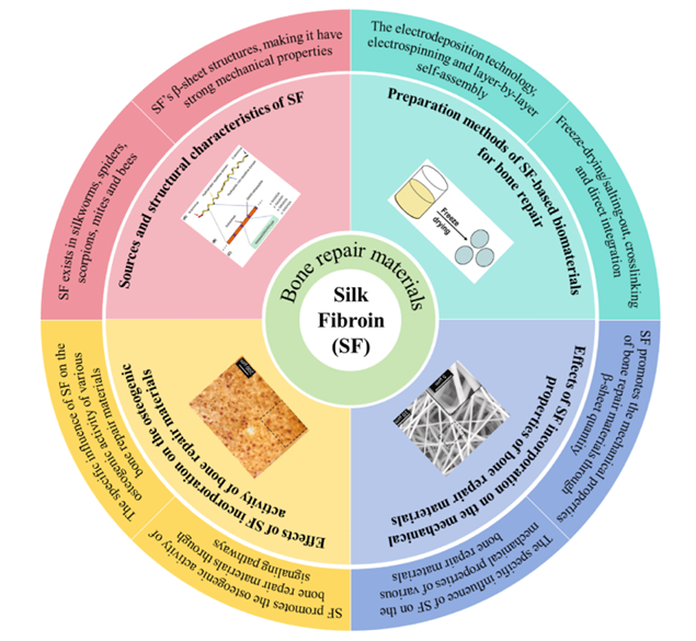 medntdj's tweet image. Effects of silk fibroin incorporation on the mechanical properties and osteogenic activity of bone repair materials
sciencedirect.com/science/articl…
#Silk fibroin #Bone tissue engineering #Mechanical properties #Osteogenic activity #MedTwitter #scicomm #MedEd #AcademicTwitter