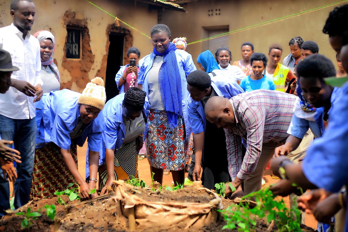 Kigabiro Sector tweet media