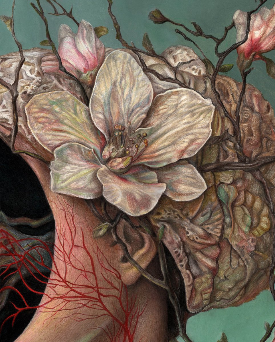 Dolce Paganne🍎 tweet media