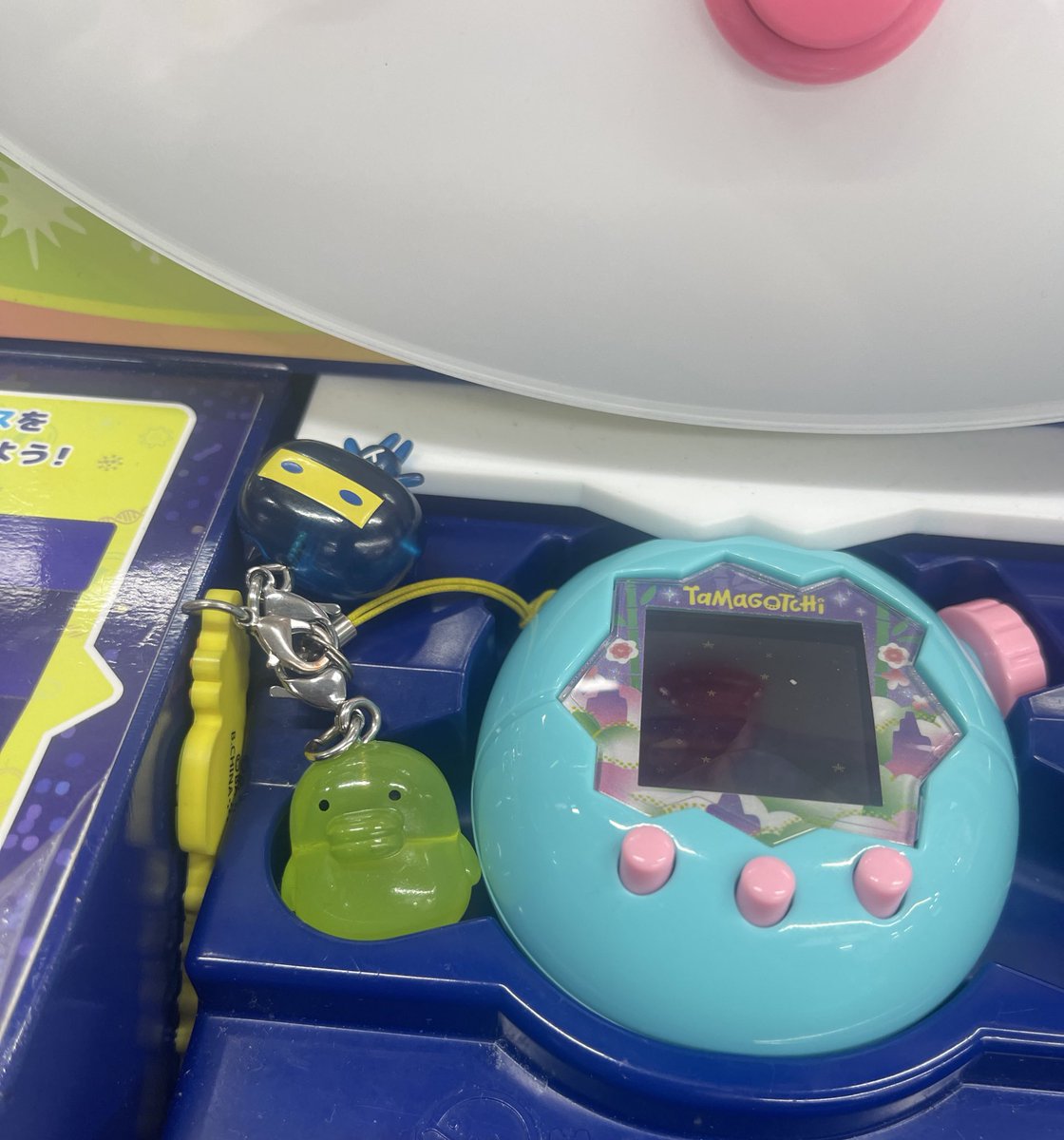 初めてのラボたまでブリード！！！！
2枚目のくちぱっちいい所に入ってたかわいかったからみんな見てえ💚💚💚💚