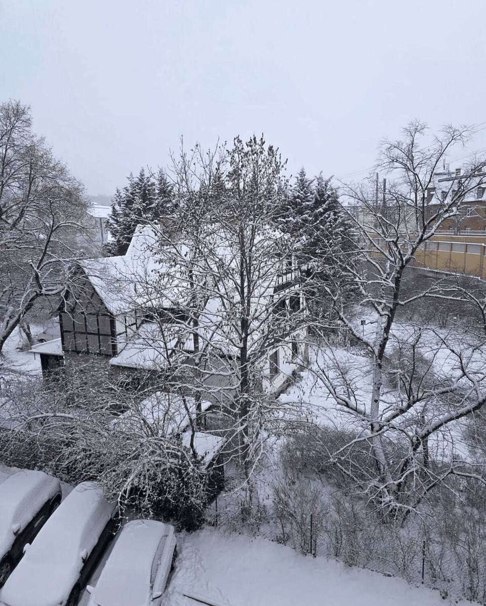 Random Acts tweet media