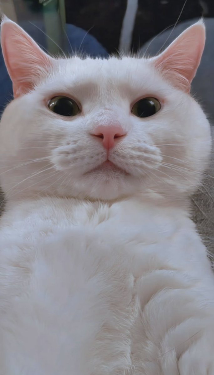 Kewrious Sim tweet media