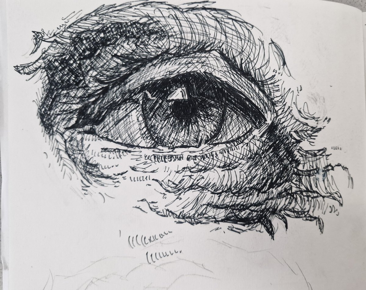 ART@HTHA tweet media