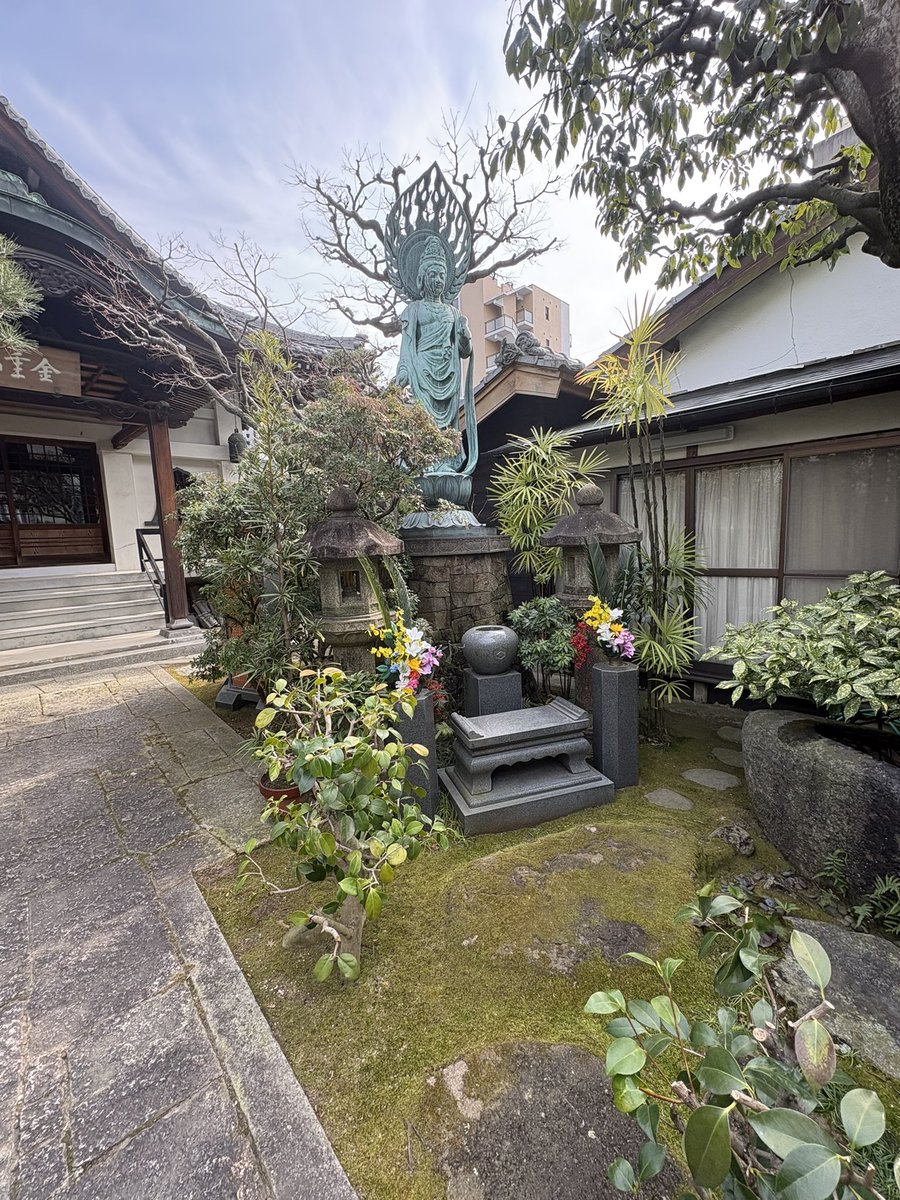 hyou75zen's tweet photo. 2つ目はその隣にあったお寺！
めっちゃ猫がいてそれに混ざってイタチかな？いた！
 #寺巡り
 #香川 https://t.co/fLpV149hcs