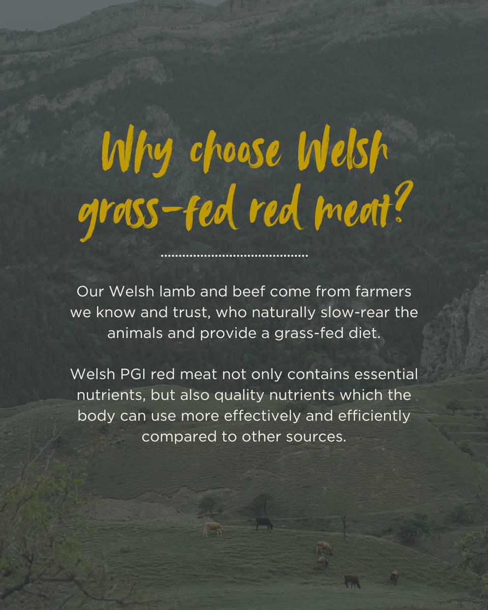 EdwardsofConwy's tweet photo. Did you know red meat is packed with over 8 essential vitamins and minerals? 🥩

If you would like to find out more about the nutrition of red meat, you can visit the Hybu Cig Cymru website.

#redmeat #welshbeef #welshlamb https://t.co/jPdOFsw9hy