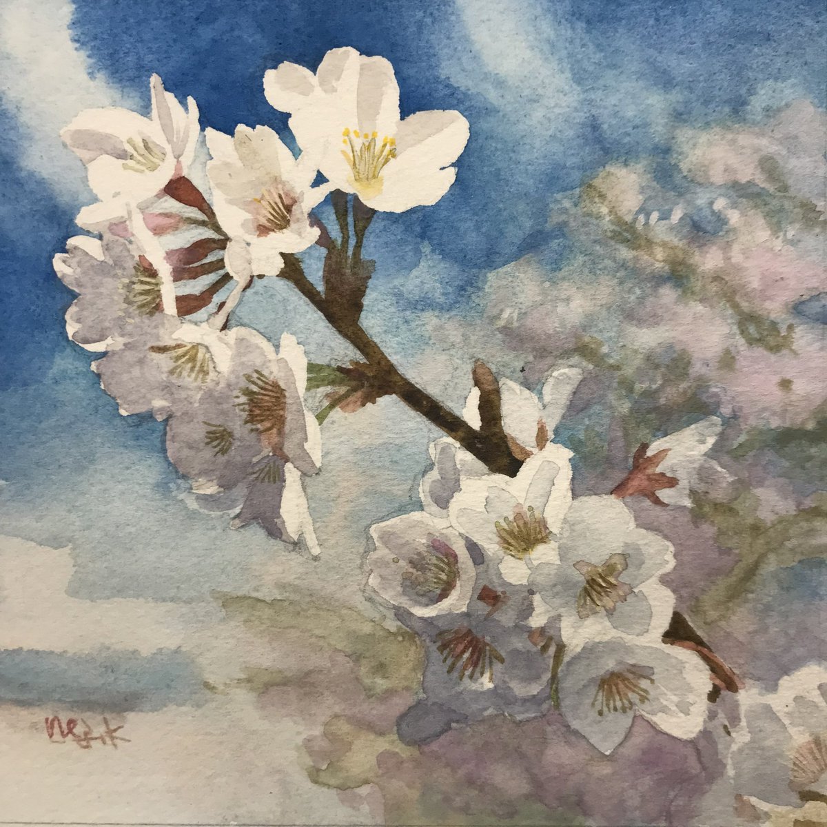 #このタグを見た人は黙って桜をはる
🤐