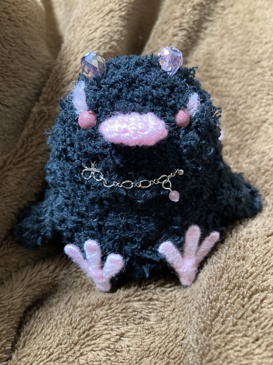 我が家にたどり着きましたー‼️ かわいい‼️ これからよろしくね