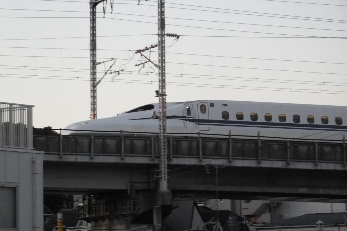 う〜ん、ちょっとピン甘というか画質がな