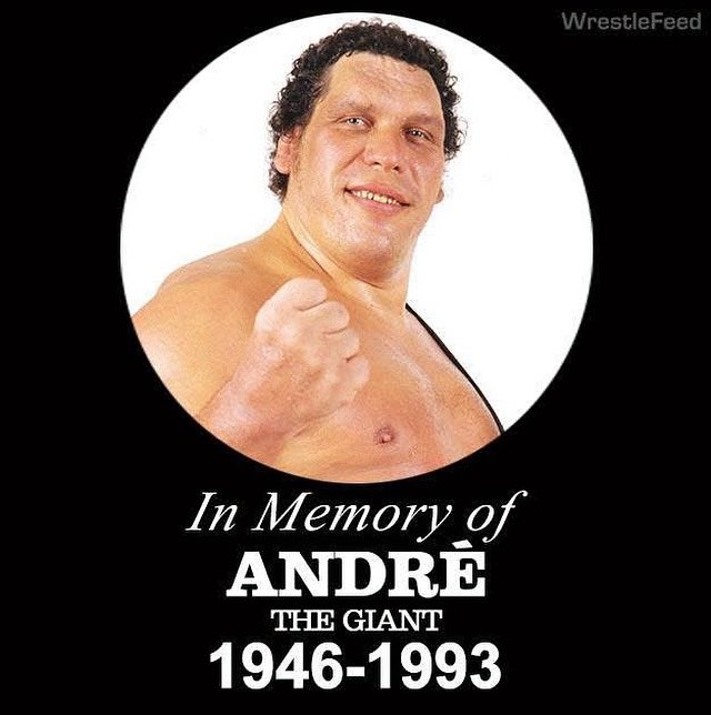 80sWrestling_'s tweet image. Remembering the late great Andre The Giant, who passed away 33 years ago today 🙏