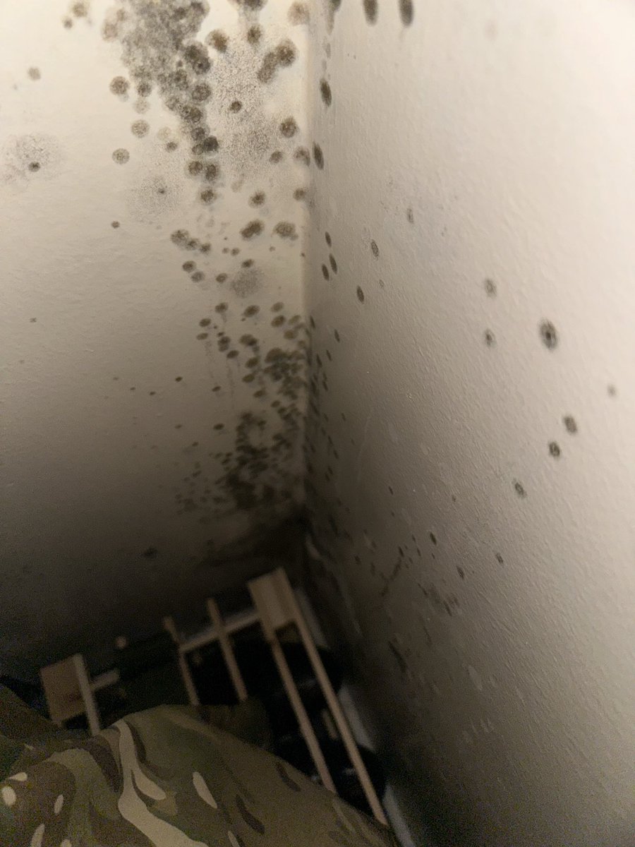 Leah Emmett tweet media