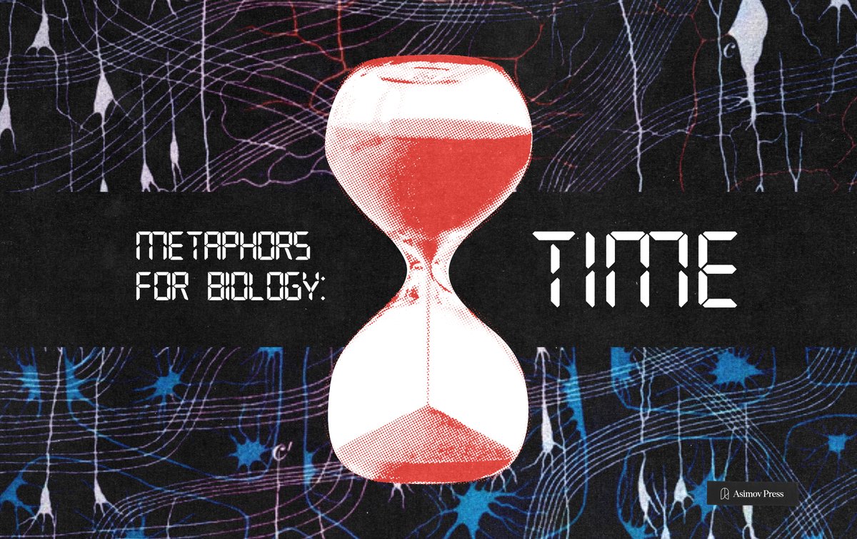 Asimov Press tweet media