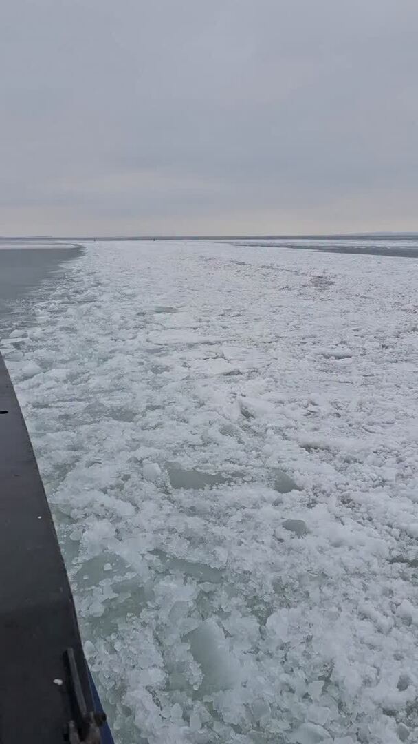 Hiddensee Forum tweet media