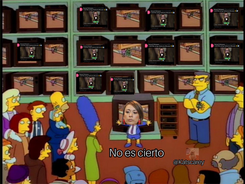 Congresista, es cierto que tiene bodegas trabajado en su campaña? 

Katherine Miranda: 🤡🤣