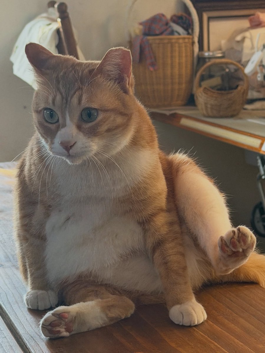 mypluffycloud's tweet image. 260128 제로베이스원 공식 인스타그램 #성한빈