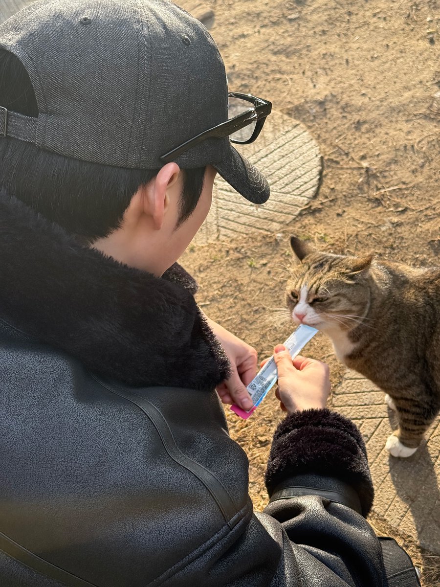 mypluffycloud's tweet image. 260128 제로베이스원 공식 인스타그램 #성한빈