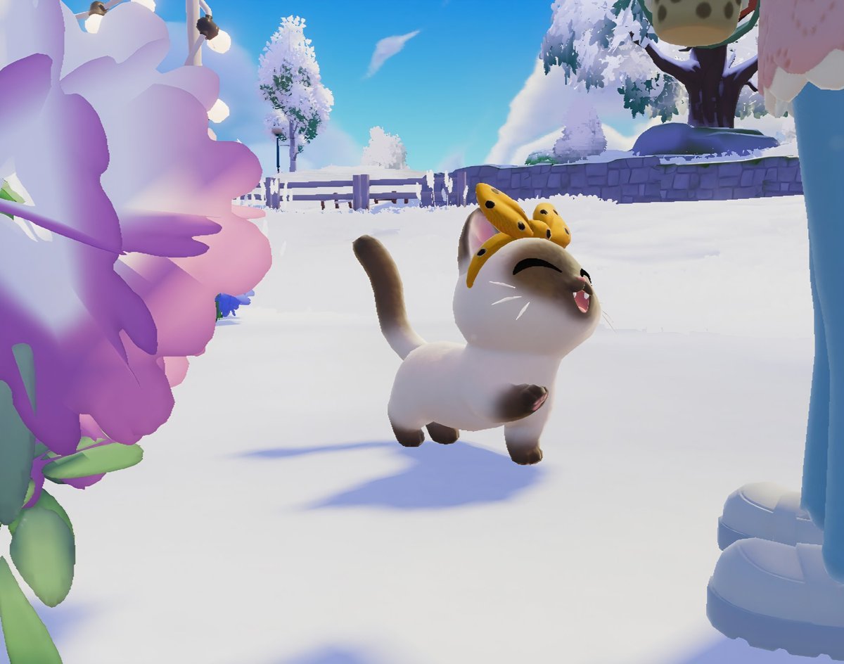 ❄️🫐My Sweet bb kitty Blueberry 🫐❄️

#Heartopia #두근두근타운