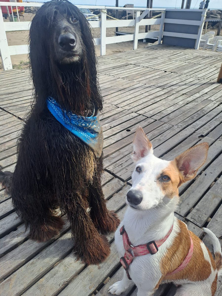 Mañana de playita con su amigo flogger rockero.