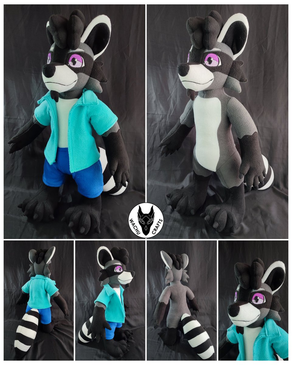 Vicho the Racoon
60cm plush, removable clothes. 

#plush #plushie #furry #furryfandom