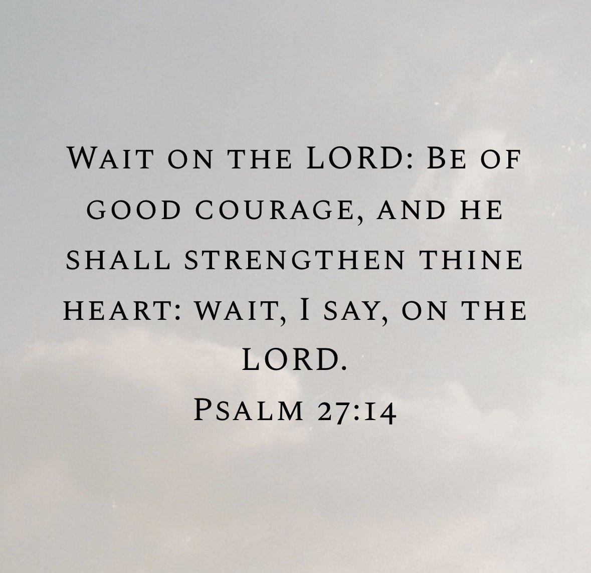 AZCactusflower🌵 tweet media