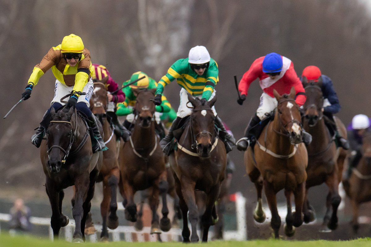 Leopardstown RC tweet media