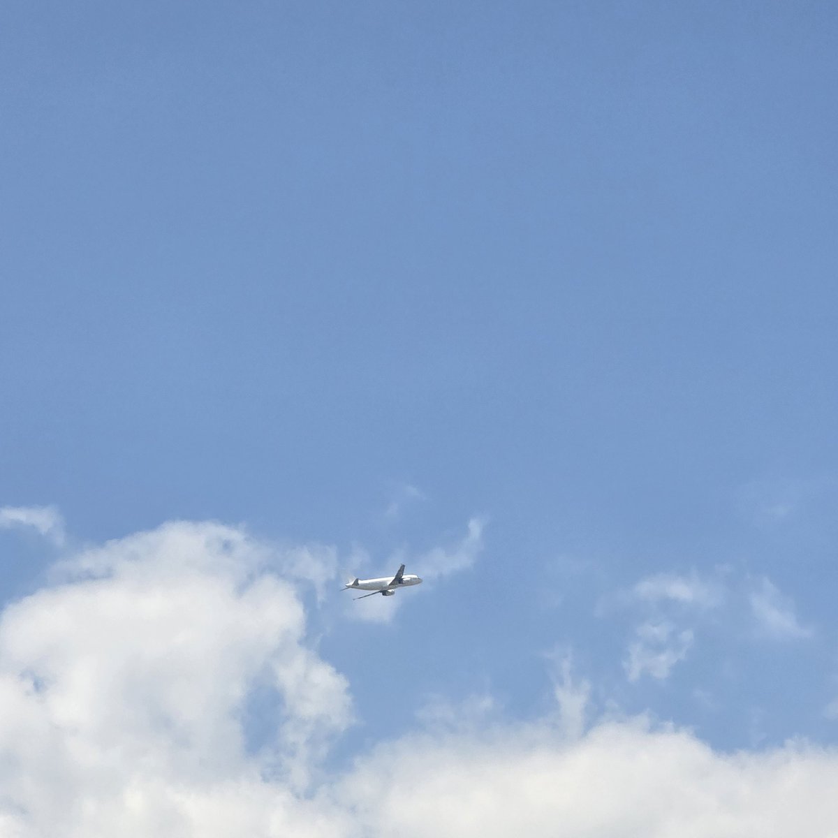 #미도in치앙마이 DAY14.