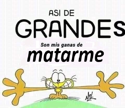 /⁠ᐠ｡⁠ꞈ⁠｡⁠ᐟ⁠\ (@valennnnnn_m) on Twitter photo 