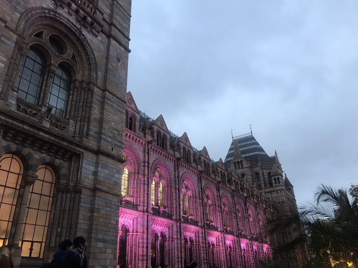 ETHA Natural Botanicals tweet media