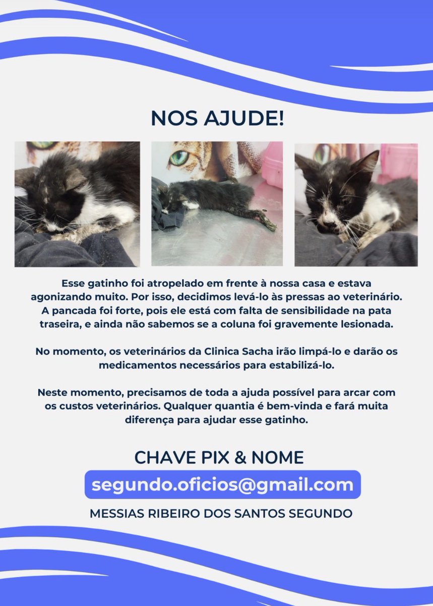 Pessoal, sei que sumi por um tempo, mas voltei pra falar sobre algo que aconteceu com um amigo meu e queria tentar ajudar a divulgar, mesmo que meu alcance não seja grande. Qualquer quantia ajuda. Por favor, vamos ajudar o gatinho :(