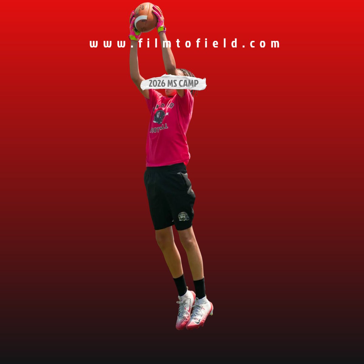 Film To Field tweet media