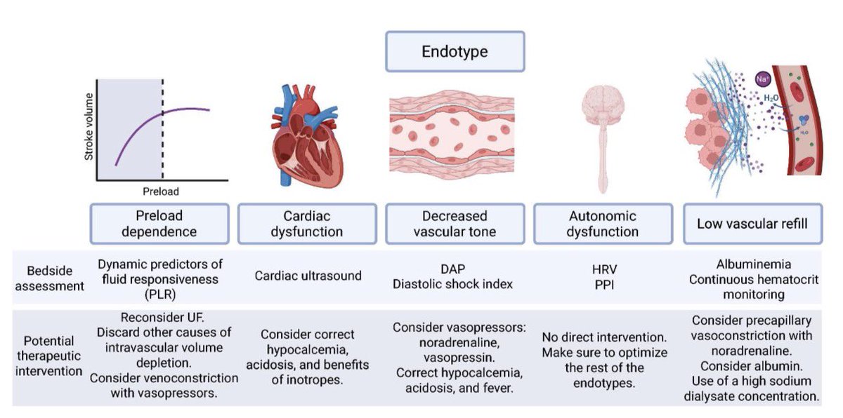 JonathanNefro's tweet image. En críticamente enfermos, el ultrafiltrado durante la terapia de reemplazo renal es posiblemente, la métrica más importante y compleja de realizar con seguridad; expertos comentan cómo personalizarla y tener más probabilidades de éxito

Critical Care 2026
doi.org/10.1186/s13054…