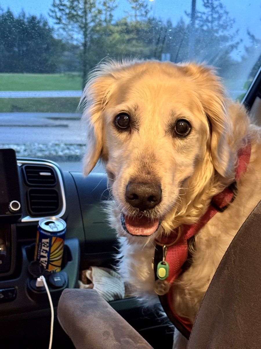 Sari Kontio tweet media