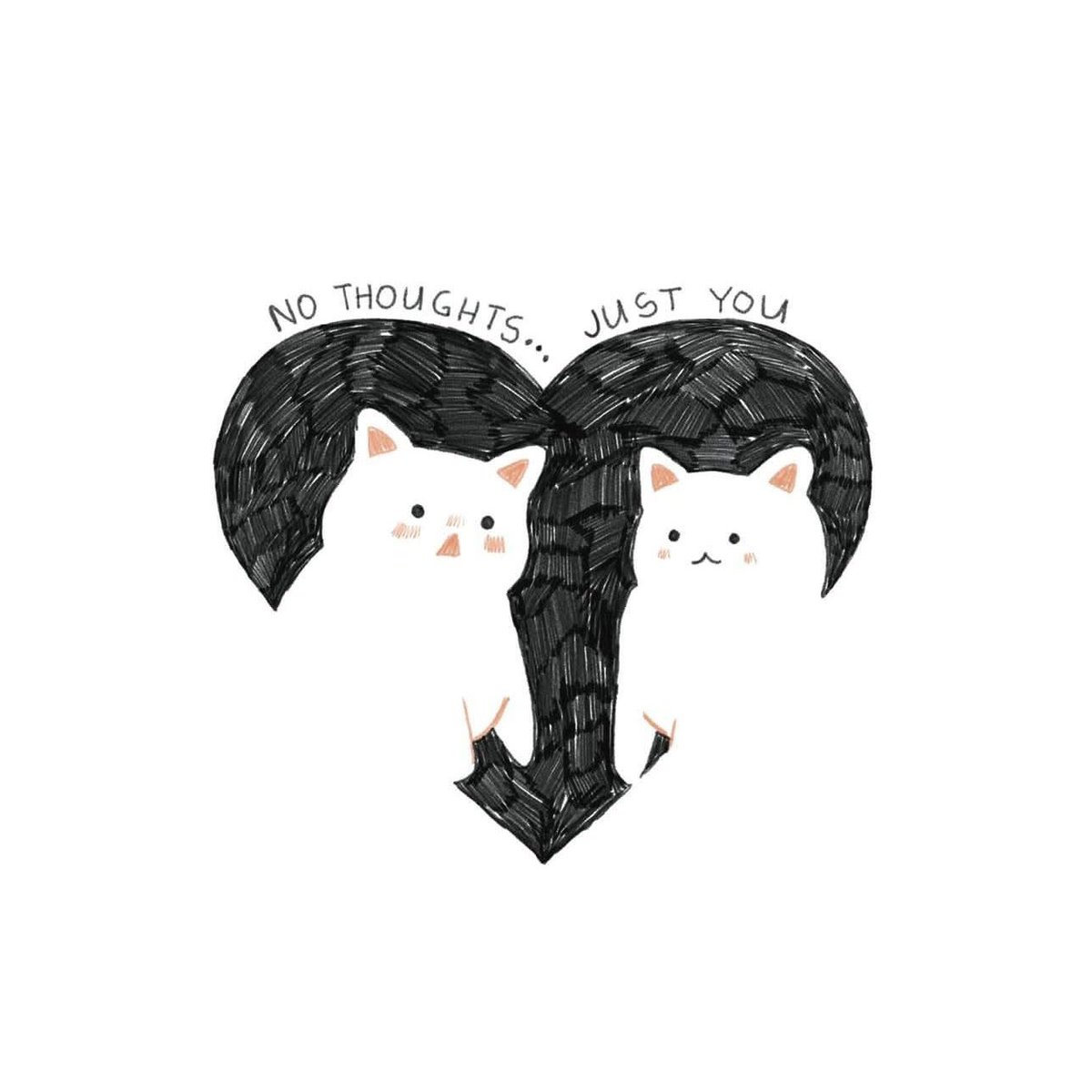 titsay 𓆏 (@titsay) on Twitter photo 