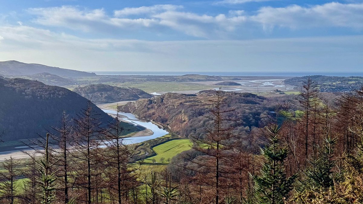 Sarah Parry tweet media