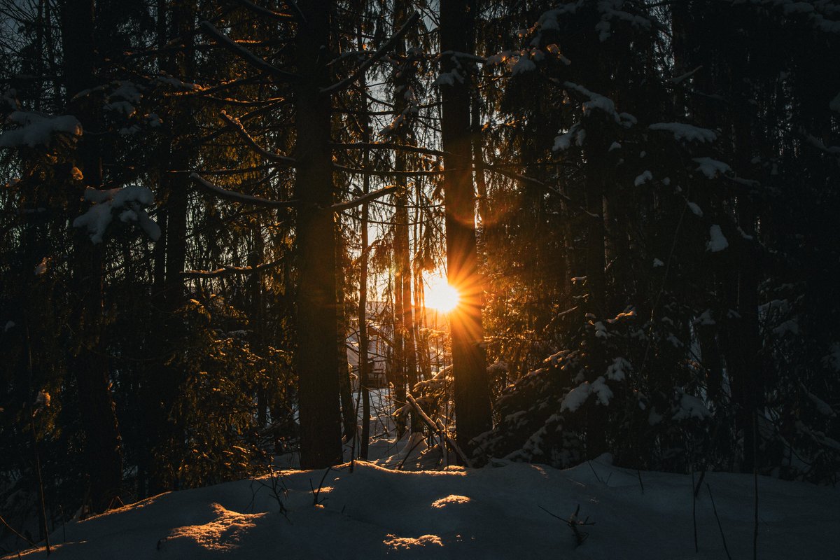 Master__Sword's tweet photo. long time since i saw the sun https://t.co/RUQOgDsv52