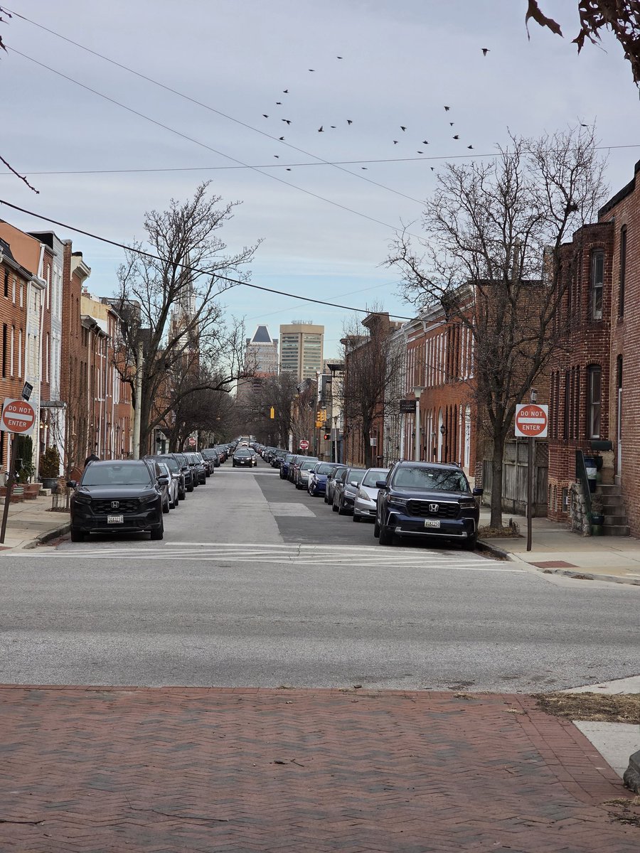 JaxFerret's tweet photo. Charm city definitely has earned it's name in some neighborhoods! https://t.co/8yoTRMbqDj