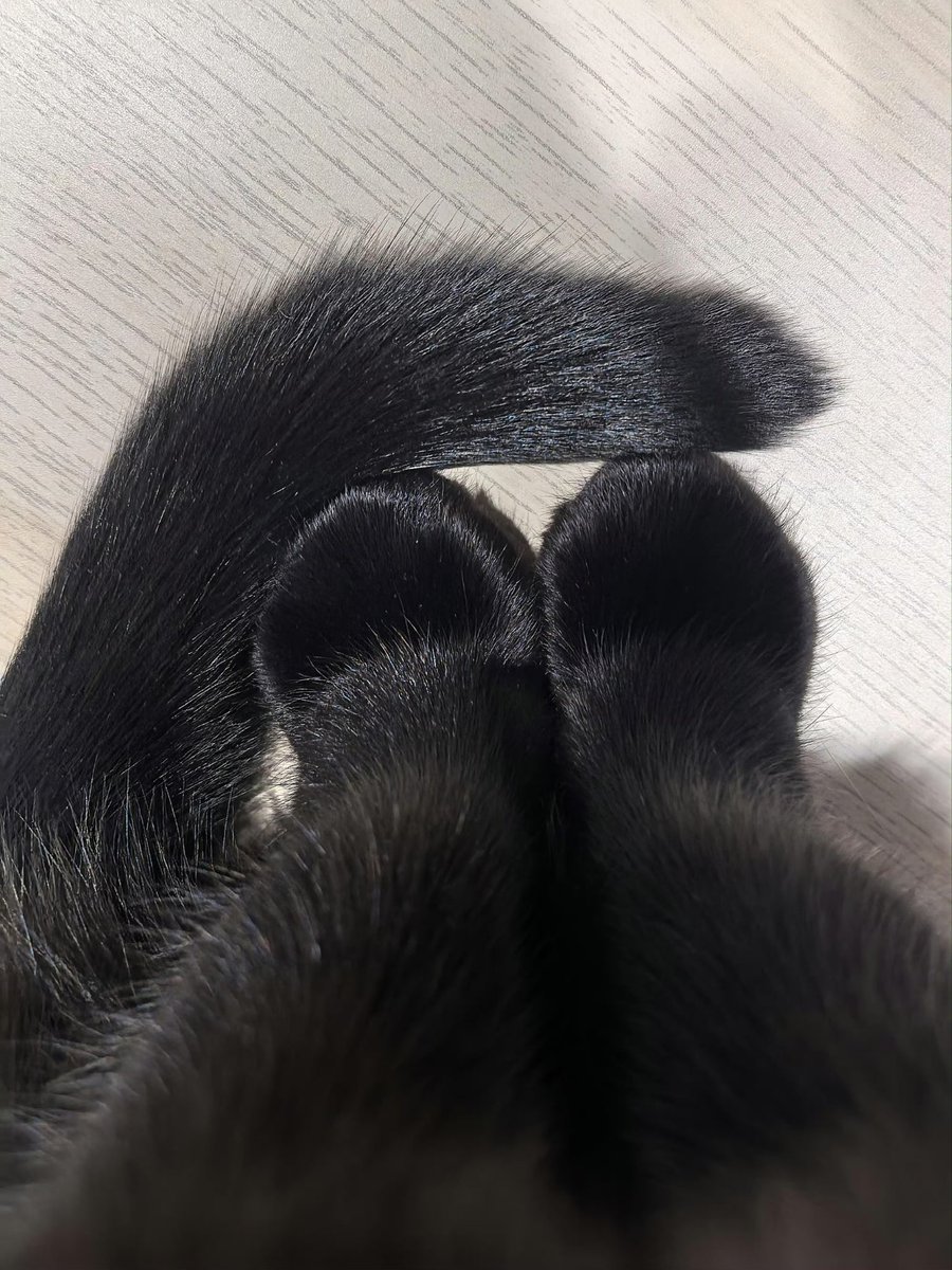 Stand like a gentleman