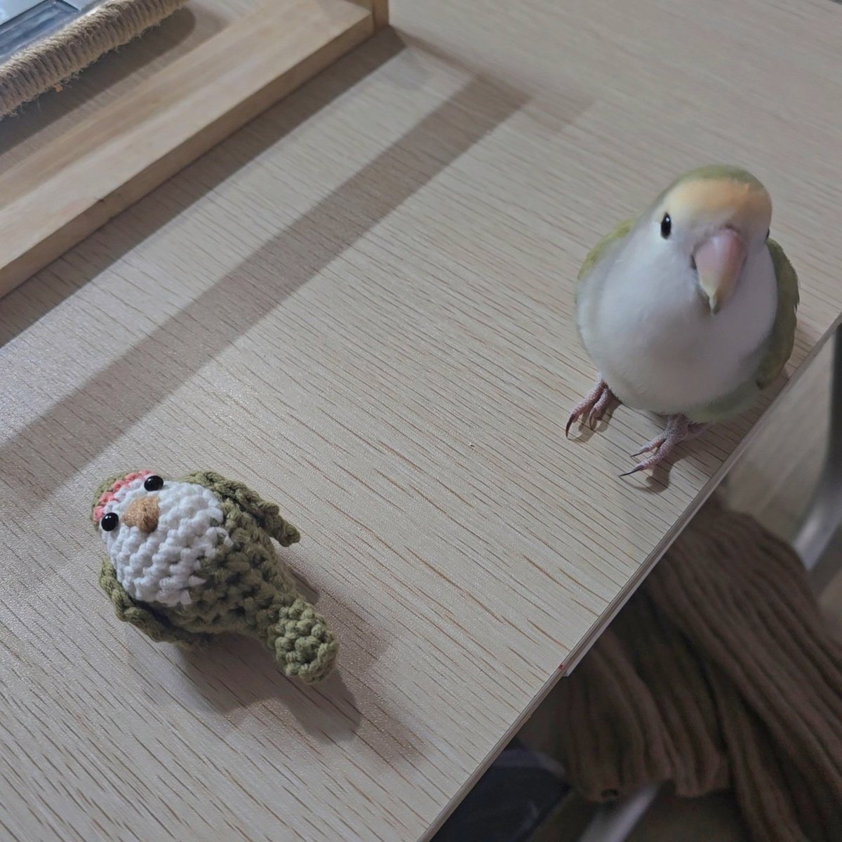 이게 머야...? 무서워...