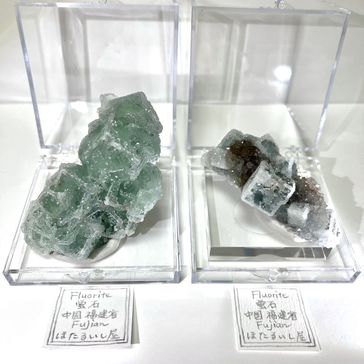 刈谷石フリマに持って行く予定の、福建省のグリーンシュガーフロー