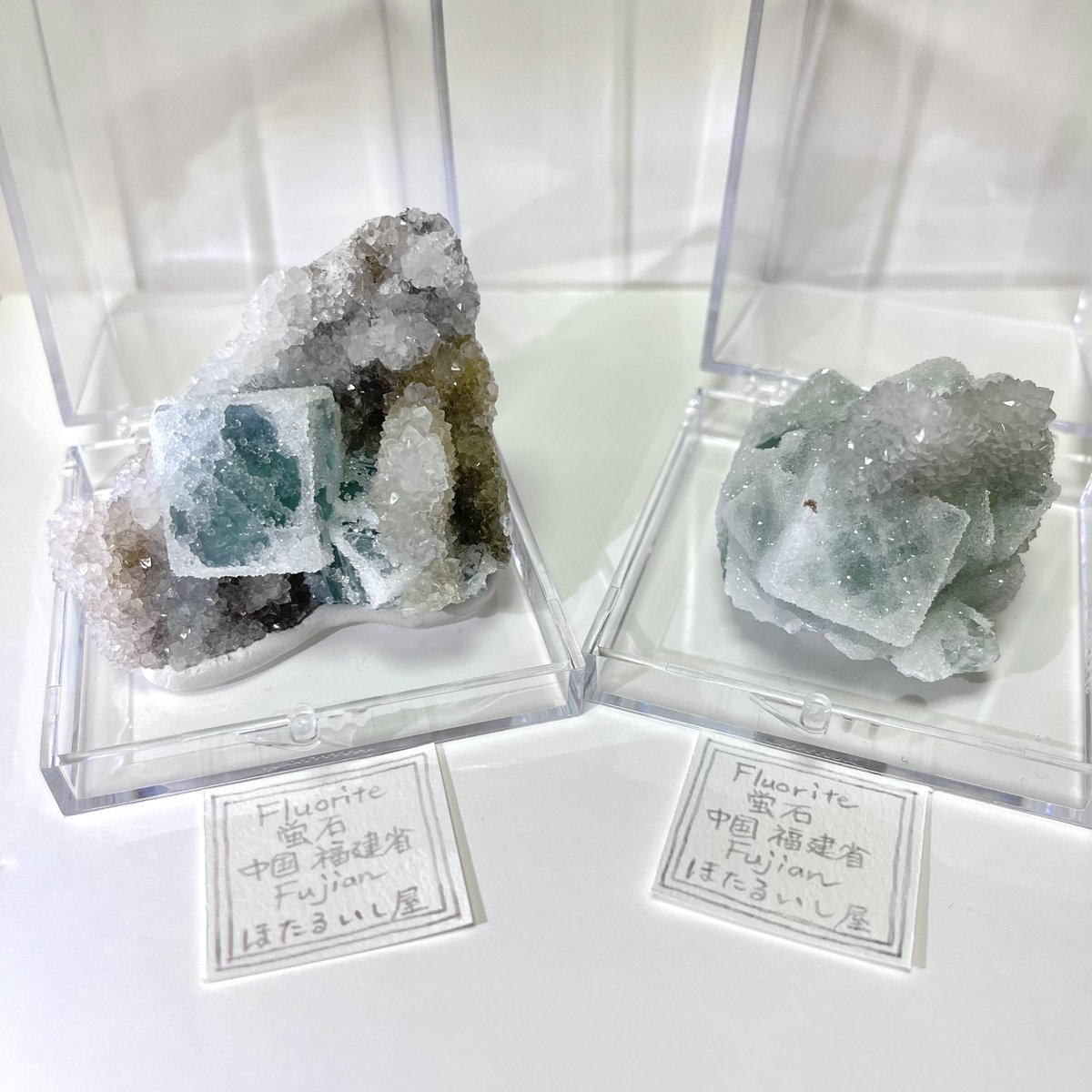 刈谷石フリマに持って行く予定の、福建省のグリーンシュガーフロー