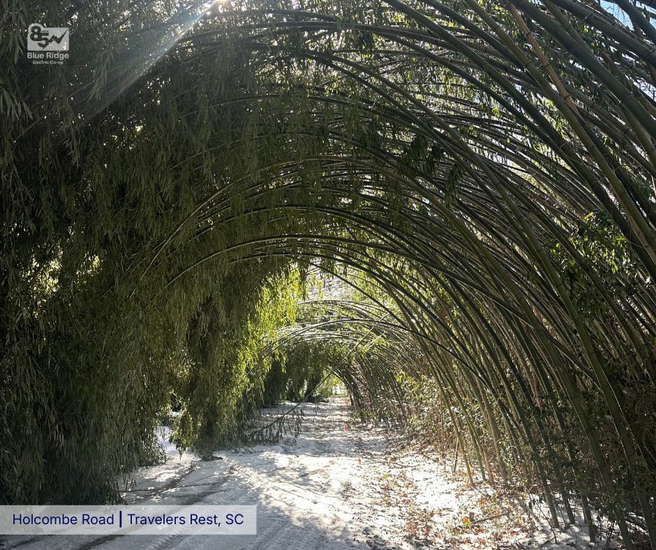 Our crews and partners were back in the field before sunrise, building on the significant momentum from yesterday. As the "thaw" continues to help our efforts, we are seeing major sections of the grid come back to life across our territory.

It is important to note that no crews