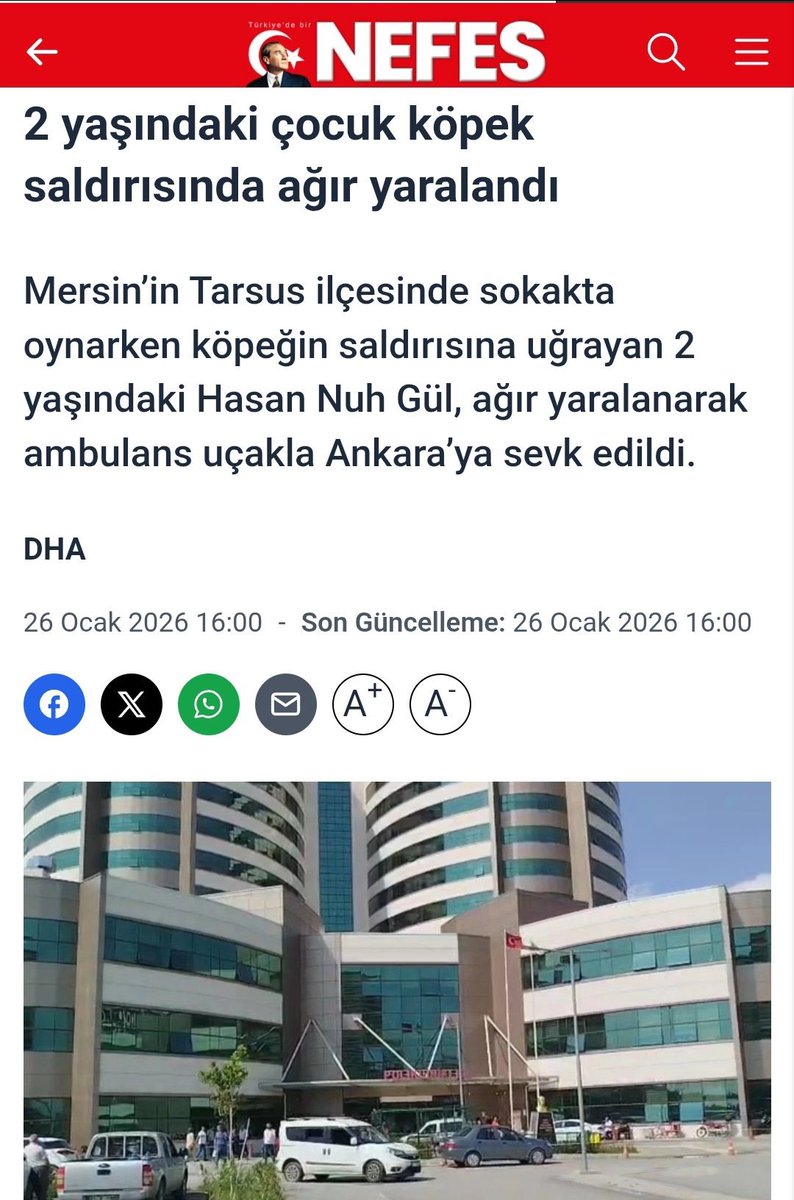 CerceveYasa31's tweet photo. Mersin'in Tarsus ilçesinde yine başıboş it dehşeti yaşandı. 2 yaşındaki çocuğu başıboş köpekler yedi, ambulans uçakla Ankara'ya sevk edilen çocuk yoğun bakımda yaşam savaşı veriyor.

Hem Mersin hem de Tarsus belediyeleri köpeği insandan kıymetli gören, CHP adlı armasındaki okları siktiğimin hilkat garibesi tarafından yönetiliyor.

AKP 40 yılın başı hayırlı bir işe imza atıp sokak köpeklerini toplama yasası çıkardığında umutlanmış, en azından sorun biraz hafifler diye düşünmüştük. Yasaya en çok karşı çıkıp ısrarla başıboş itleri toplamayansa CHP adlı terör örgütü oldu.

3-5 tane Kadıköylü bok torbasının cırtlak sesini bastıramayıp, sırf ucuza vicdan sinyallemek için sokakları köpek sürülerine işgal ettiren bu orospu evlatlarına ne zaman devletin sert yüzü gösterilecek? Bu ırzı kırık orospu çocuklarının kayyumla yola getirilmesi için daha kaç çocuğun kurban verilmesi gerekiyor?

Antik çağlarda sözde tanrılara çocuk kurban edilirdi, 2026 Türkiye'sinde pire torbası uyuz köpeklere çocuk kurban ediliyor. Zaten aşağıların aşağısı Türkiye Cumhuriyeti'nden başka bir şey de beklenemezdi.

Muhalefete muhalefet etmeme, hiçbir şey AKP'den kötü olamaz mantığıyla hataları görmezden gelme devri bitti. AKP adlı çorap kokulu ceberrut sulta her dara düştüğünde onun yardımına koşan, yanlışlıkla iyi bir şey yapılsa bile ona engel olan ve insanların çoluk çocuğunu başıboş köpeğe canlı canlı yediren bu asırlık ucubeye had bildirme zamanıdır. 

Sen yasayı uygulamayıp bizim çocuklarımızı köpeğe yediriyorsun ya; biz de kim senin ananı sikiyorsa, kim kafandan devlet sopasını eksik etmiyorsa, ama hukuki ama hukuksuz kim seni orospu edip oynatıyorsa onu muteber göreceğiz. Bu devleti ya da AKP'yi sevdiğimiz için değil, zira biz onlardan da nefret ederiz. Bu tamamen senin insanların çocuklarına varacak kadar düşmanlık güden orospu evladı bir cinayet şebekesi olmanla ilgilidir.

Hak, hukuk, adalet bitti. Süslü sözler gömülmeli, 2023 yanılgısı unutulmalı ve bu altı oklu orospu uşakları teşkilatına hak ettiği muamele yapılmalıdır.