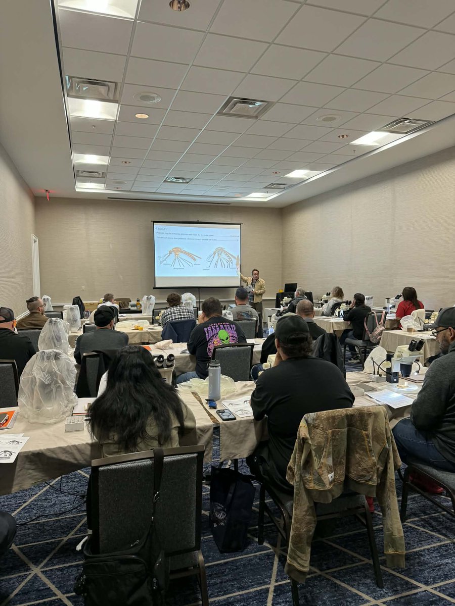 Florida Mosquito Control Association tweet media