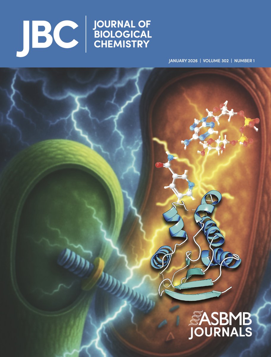 Cascales Lab tweet media