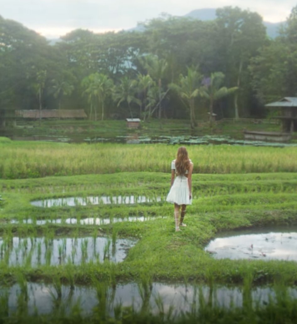 มีใครจะไปทุ่งนาตามรอยน้องลูกลิชไหมจ๊ะ
#AmazingThailandlisaxLISA