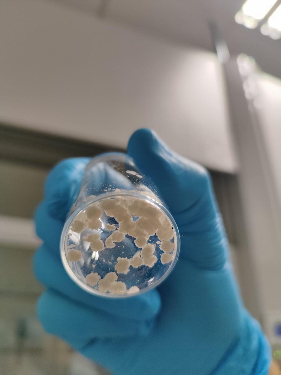 Daniel Montes Alvarez tweet media