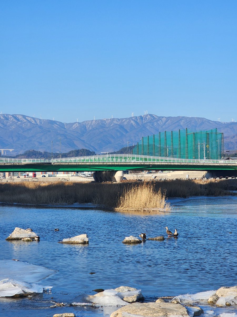 5488aaa's tweet image. 산책길
잠 보약
햇빛 맞으러..