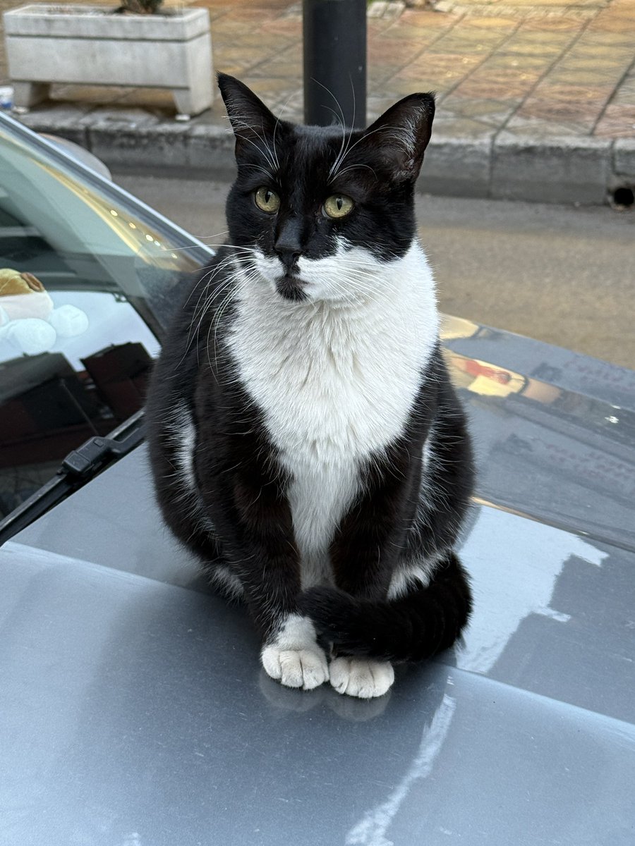 ölecem şimdi duruşa bak şunun