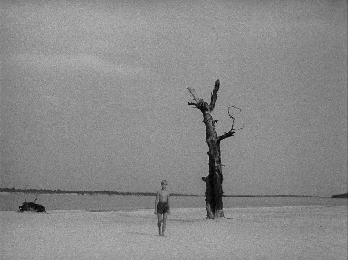 filmfr4me's tweet image. Ivan's Childhood (1962)
Director: Andrei Tarkovsky
